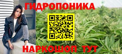 мяу мяу мука Заводоуковск