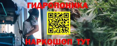мяу мяу мука Заводоуковск