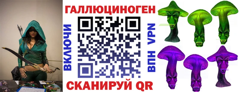 закладки  Майский  Псилоцибиновые грибы прущие грибы 