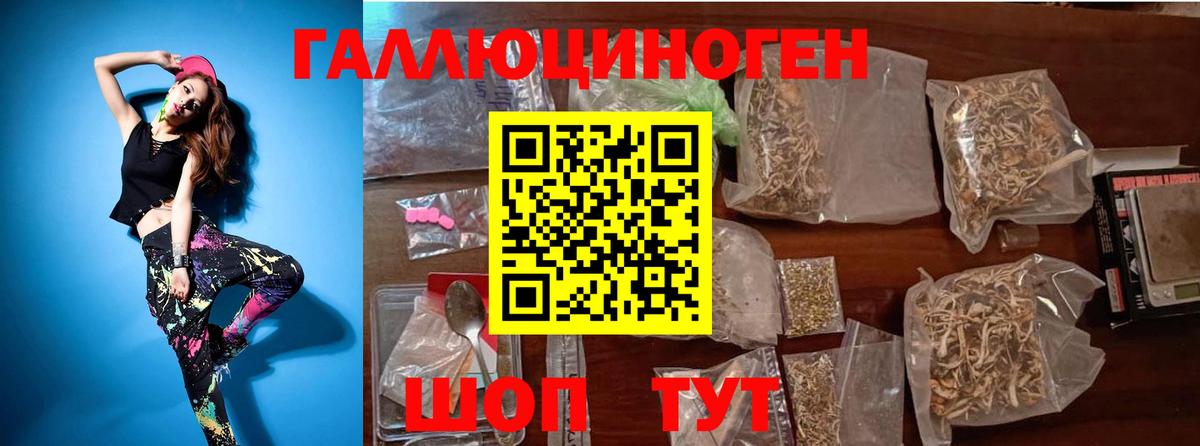 Майский  Галлюциногенные грибы GOLDEN TEACHER  Вход с VPN  Галлюциногенные грибы Psilocybine cubensis 