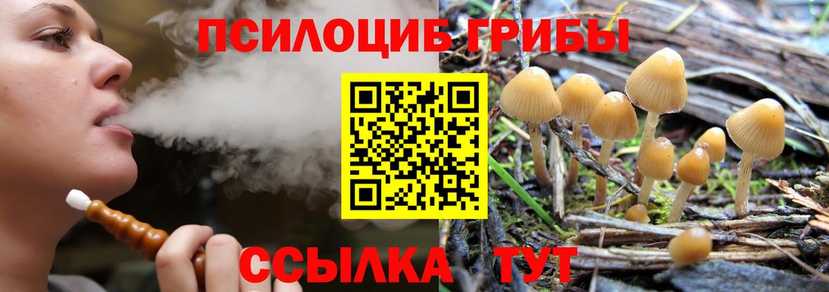Псилоцибиновые грибы Cubensis Майский